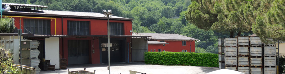 Officina capannone ivelpress